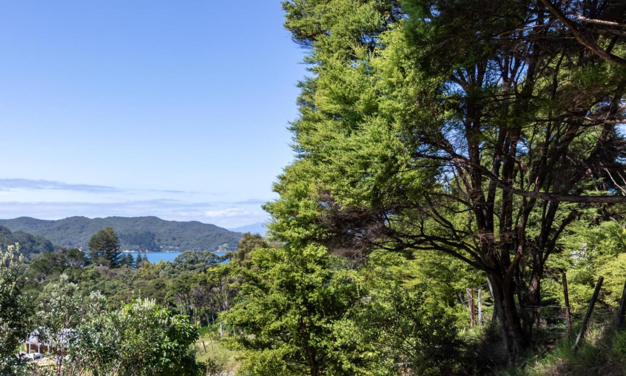 Aotea Lodge Great Barrier Tryphena Esterno foto